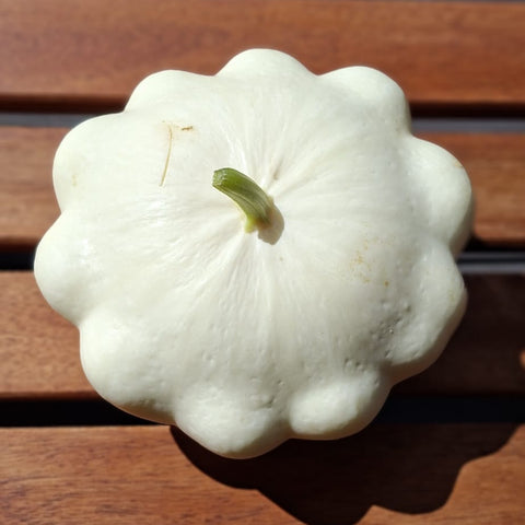 Luomu patisson blanc kurpitsa Suomi 1 kpl