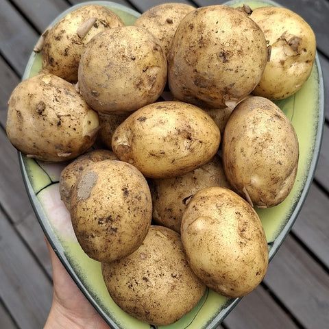 Luomu varhaisperuna Suomi 500g