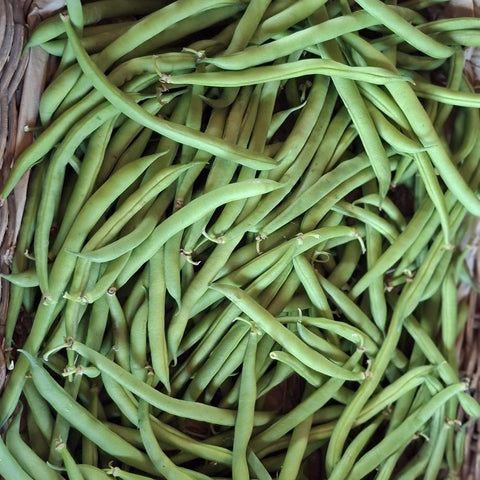 Luomu virheä papu  Suomi 250g